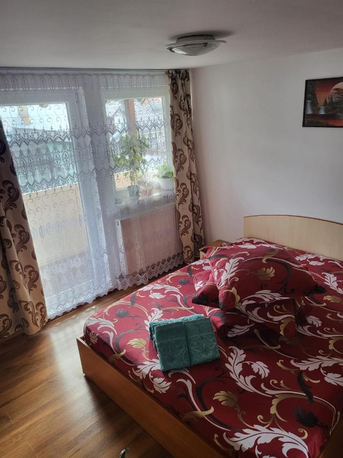Pensiunea Lacramioara Ватра-Дорней Экстерьер фото