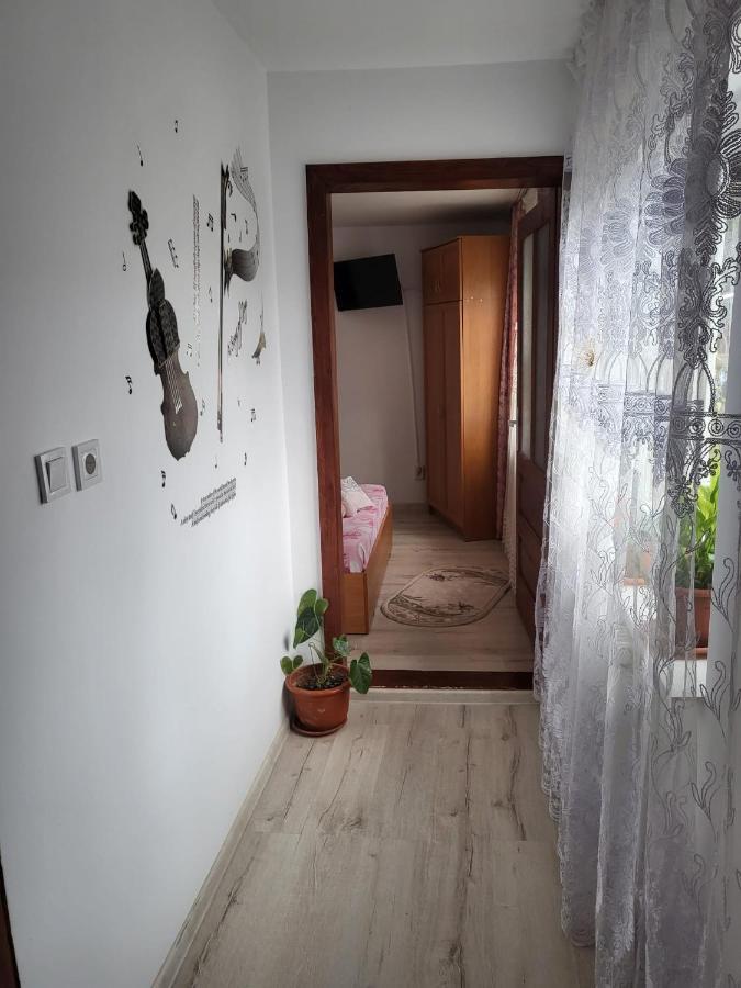 Pensiunea Lacramioara Ватра-Дорней Экстерьер фото
